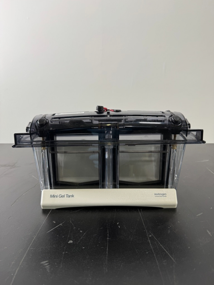 Image of Invitrogen Mini Gel Tank